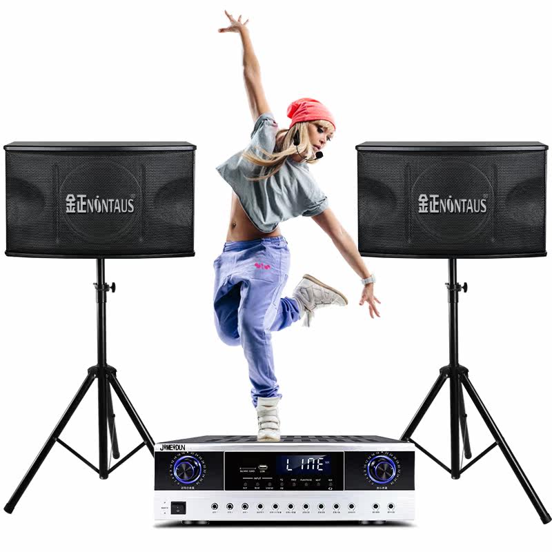 金正舞蹈室会议室舞台演出家庭话筒 万事通城数码KTV/卡拉OK音箱