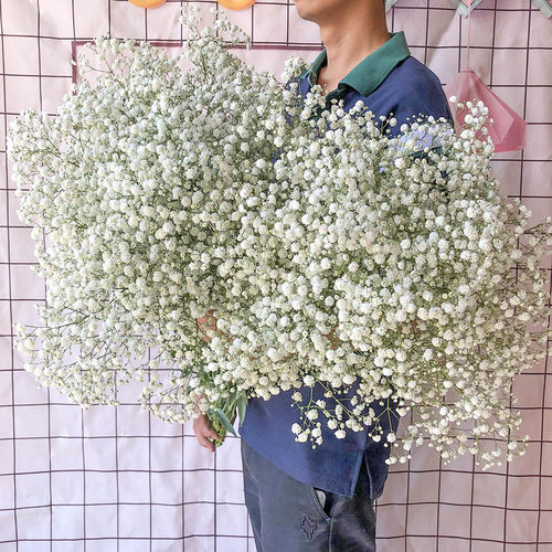 满天星2斤超大束干花花束勿忘我家用客厅家居摆件生日鲜花装饰 - 图3