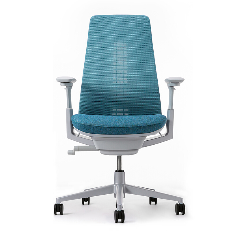 fern人体工学椅办公椅家用护腰升降靠背椅舒适久坐网布转椅 - 图2