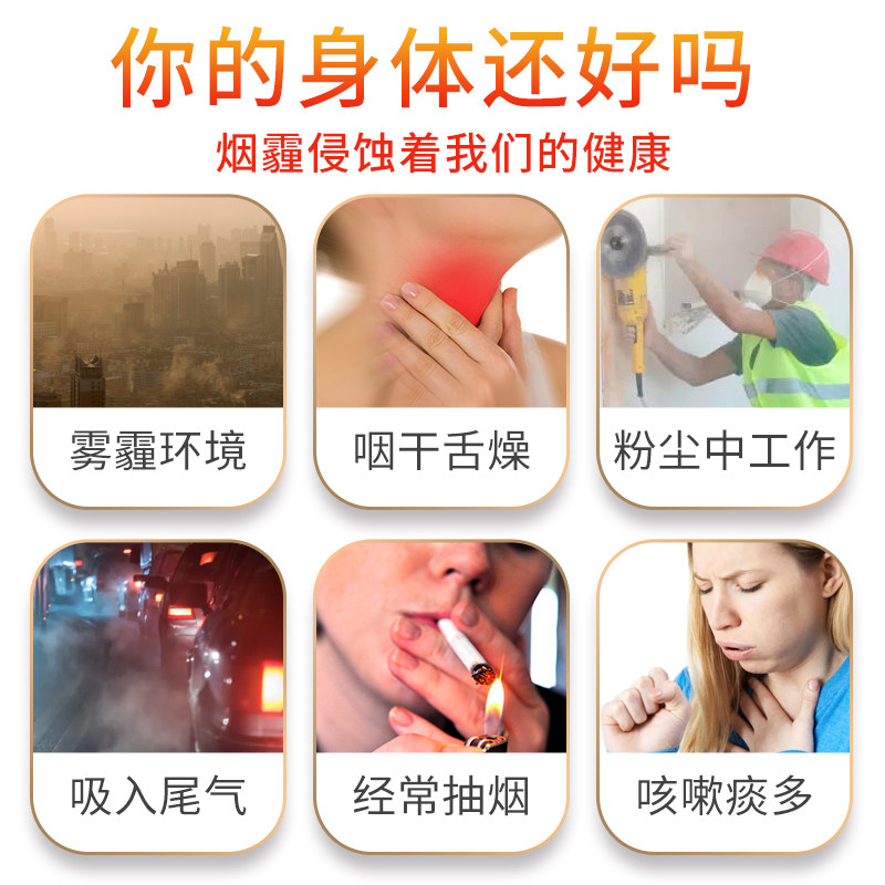 胖大海茶吸烟者润喉枇杷熬夜罗汉果 太大夫养生茶