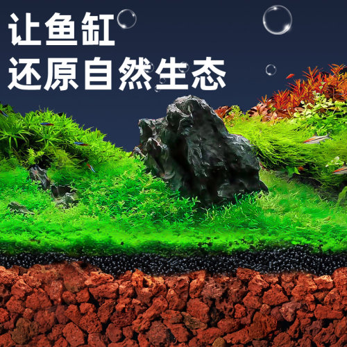 火山石颗粒火山岩铺面石多肉兰花造景专用营养土养花盆栽鱼缸底砂 - 图0