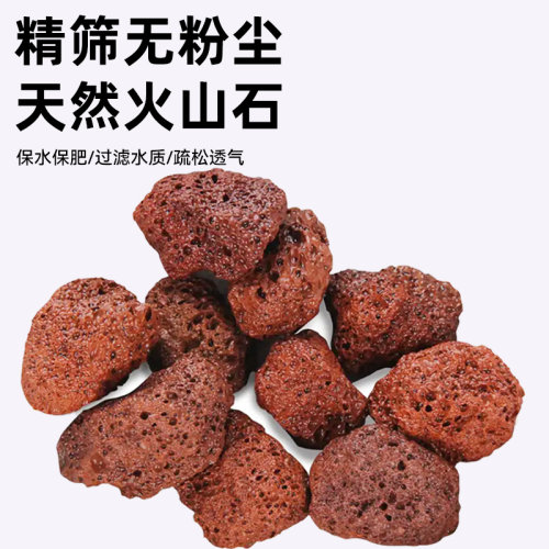 火山石颗粒火山岩铺面石多肉兰花造景专用营养土养花盆栽鱼缸底砂 - 图1