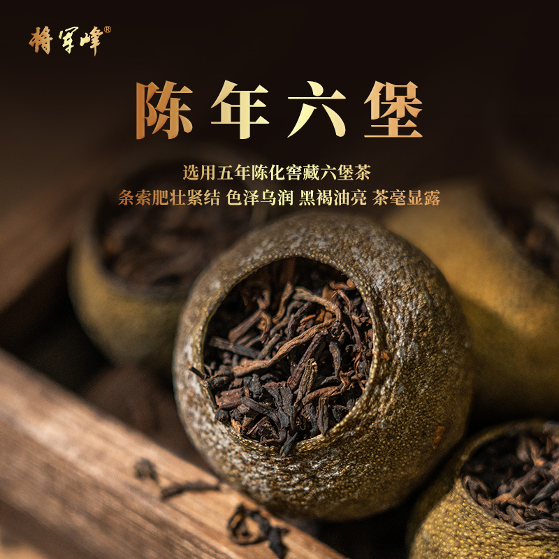 将军峰旗舰店广东新会小青柑六堡茶 将军峰六堡茶