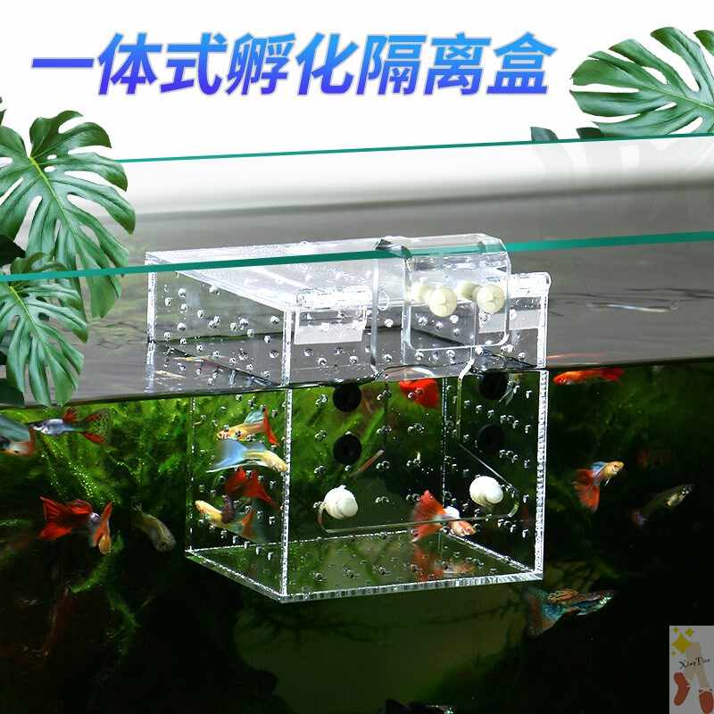 鱼仔隔离网 新人首单立减十元 21年8月 淘宝海外