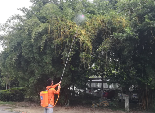 淇林菟丝净黄杨苗木绿篱菟丝子黄丝藤金丝藤专用除草剂整套24克装 - 图3