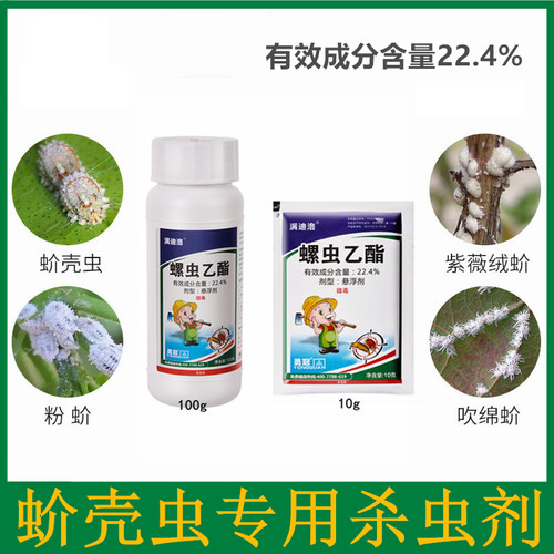 勇冠22.4%螺虫乙酯蚧壳虫虫卵双杀园林苗木果树蚧壳虫专用杀虫剂 - 图0