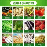 98%от сырой корневой корневой корневой корневой корневой