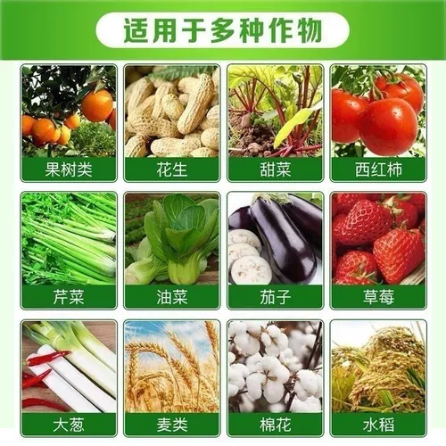 98%от сырой корневой корневой корневой корневой корневой