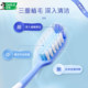 Black people's deep cleansing toothbrush family discount pack