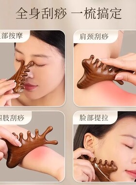 檀木4合1头皮按摩梳头疗眼脸通用