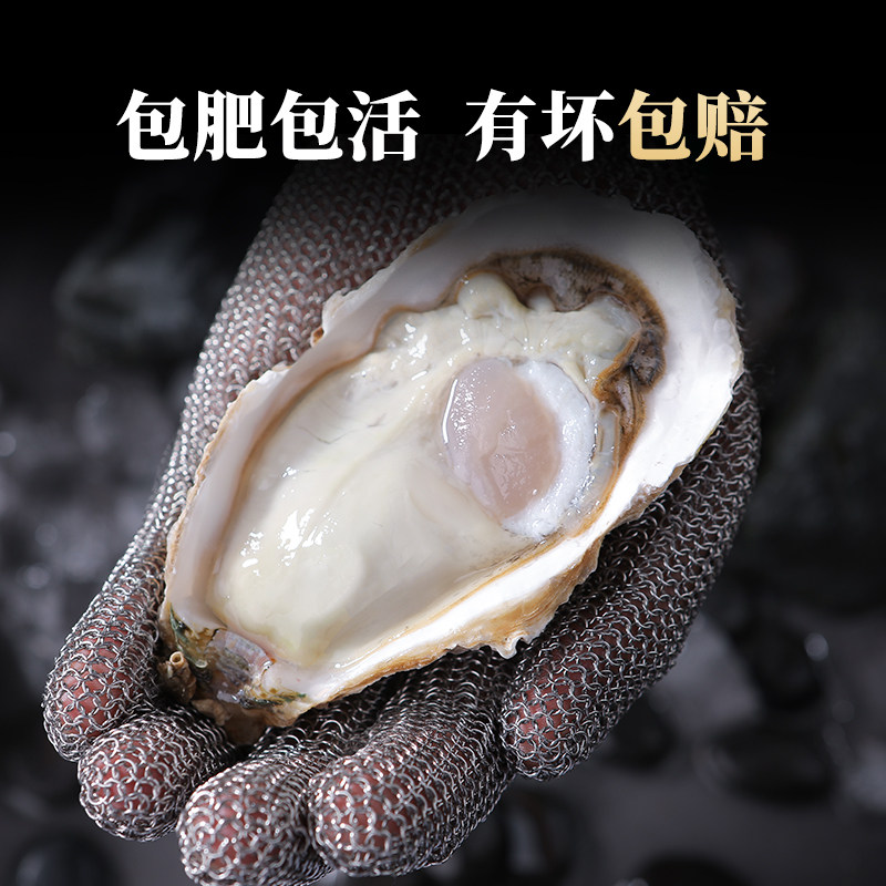 鲜海道乳山鲜活生蚝鲜活特大牡蛎海鲜5斤带箱批发商用海蛎子,淘宝优惠券,粉丝福利购,淘宝优惠卷