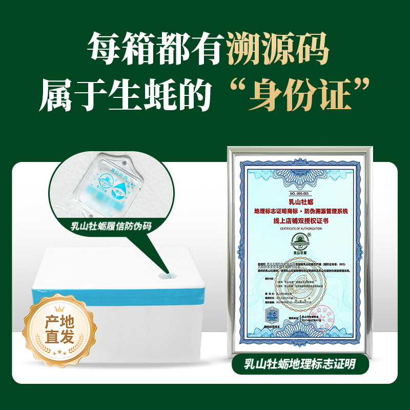 鲜海道乳山鲜活生蚝鲜活特大牡蛎海鲜5斤带箱批发商用海蛎子,淘宝优惠券,粉丝福利购,淘宝优惠卷