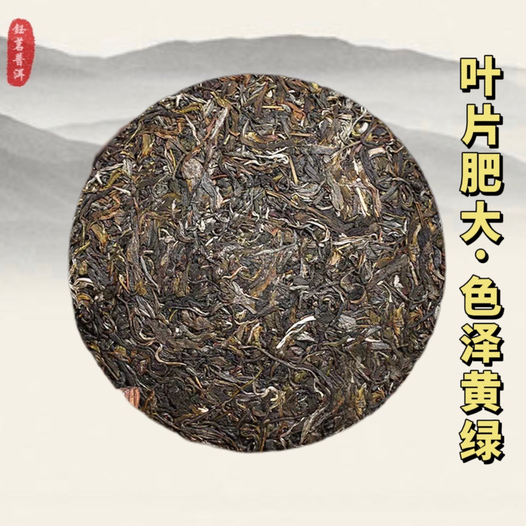 普洱茶生茶 云南2010年老班章七子茶饼茶600年班章古树普洱生茶饼