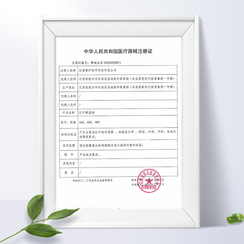  掌护体温计类