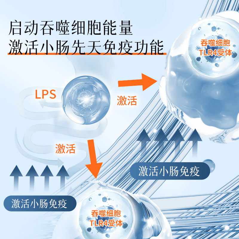 Dr.LPS日本进口超益生菌成人调理肠胃肠道免疫高端营养品冻干粉剂
