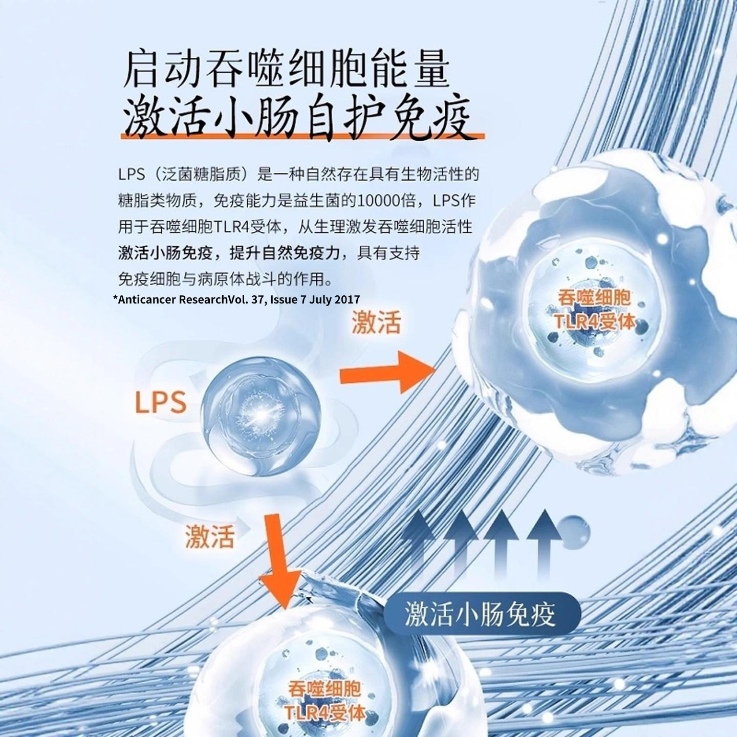 Dr.LPS日本进口超益生菌大人成人调理肠胃肠道养胃儿童免疫力提高