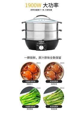 法国玛捷斯不锈钢电蒸锅控温定时