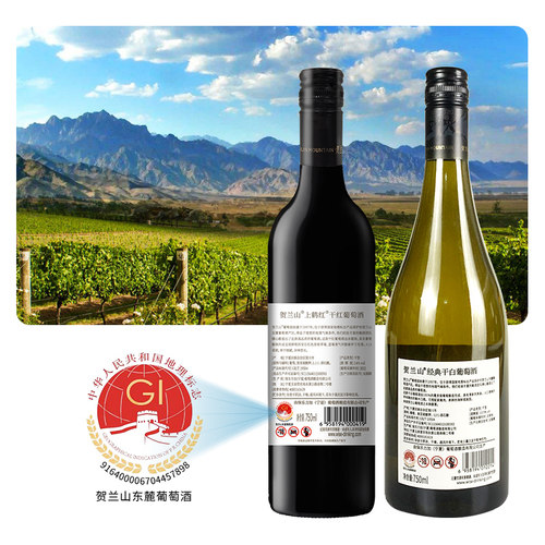 宁夏贺兰山东麓葡萄酒红酒经典干红干白组合装红酒礼盒装礼物 - 图1
