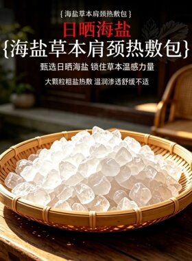 肩颈热敷包电加热粗盐袋海盐肩颈肩膀艾灸理疗颈椎护肩老人理疗袋