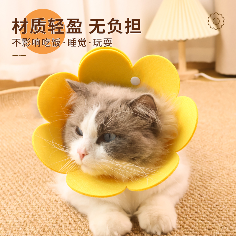 伊丽莎白圈猫绝育项圈防舔除跳蚤英短猫咪脖圈颈圈头套狗宠物用品-图2