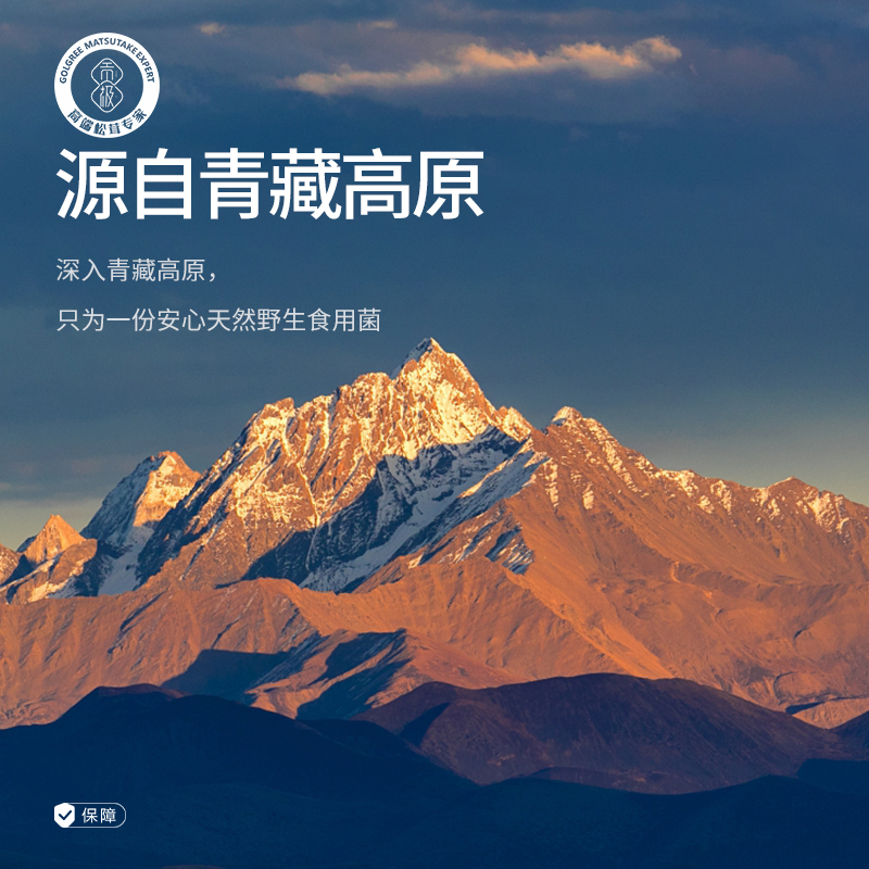 贡极七彩菌汤包野生松茸牛肝菌菇汤包干货煲汤食材鸡枞菌菇类山珍