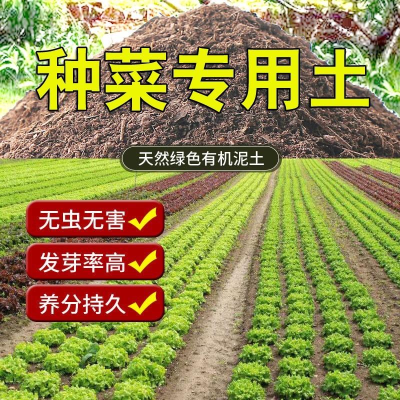 阳台种菜土壤营土泥通用养型100斤育苗土黑有土机肥ZHB料蔬菜专用 - 图1