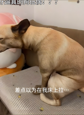 萌趣狗子造型抱枕可爱毛绒玩偶家居摆件抽象狗狗靠枕生日创意礼物