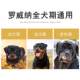 ອາຫານຫມາ Rottweiler ສໍາລັບລູກຫມາແລະຜູ້ໃຫຍ່, 40 ປອນສໍາລັບຫມາຂະຫນາດໃຫຍ່, ເປືອກຫຸ້ມນອກທີ່ສວຍງາມ, Castro Doberman, 10 ປອນ, ເດືອນກຸມພາແລະເດືອນມີນາ