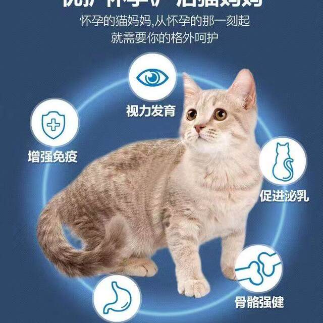Cat mother cat pregnancy cat food prenatal and postpartum lactation period ອາຫານ cat 5 pounds 10 pounds to stimulate lactation 4 fish flavor 51