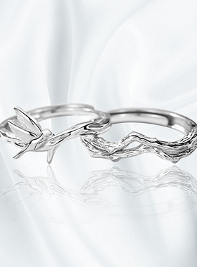 银蓝桉已遇释槐鸟情侣戒指银一对男女情侣款小众开口百搭