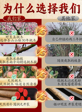 桃树枝婴儿老桃木枝棍床头摆件随身原木条挂件肥城真正野生东南枝