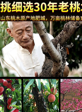 桃树枝老桃木棍棒原木摆件桃枝条婴儿童宝宝惊吓啼哭随身床头