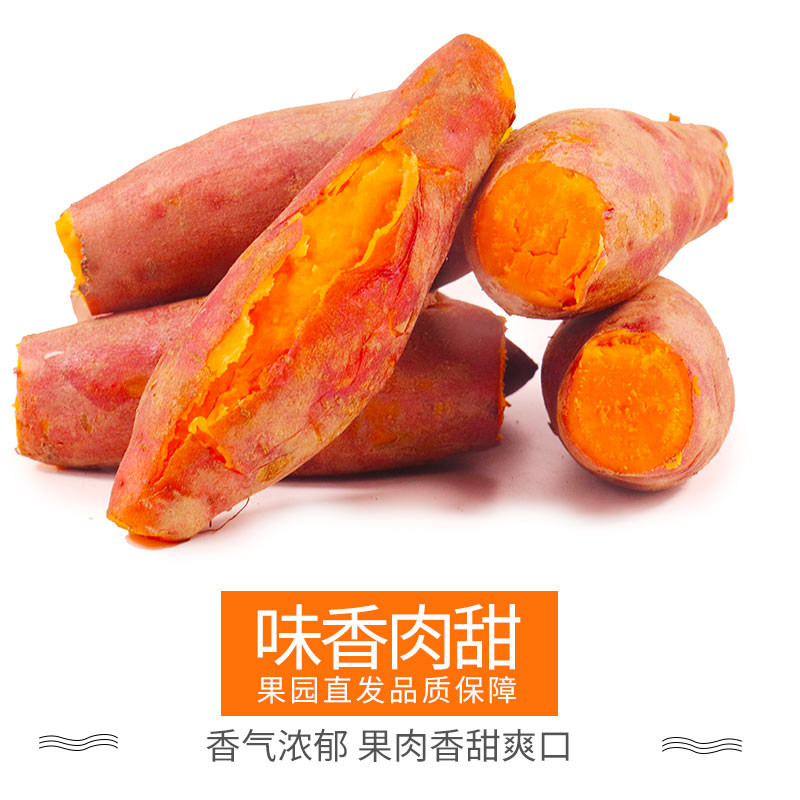 蜜薯9斤包邮沙农家黄心新鲜红薯 天之衍番薯