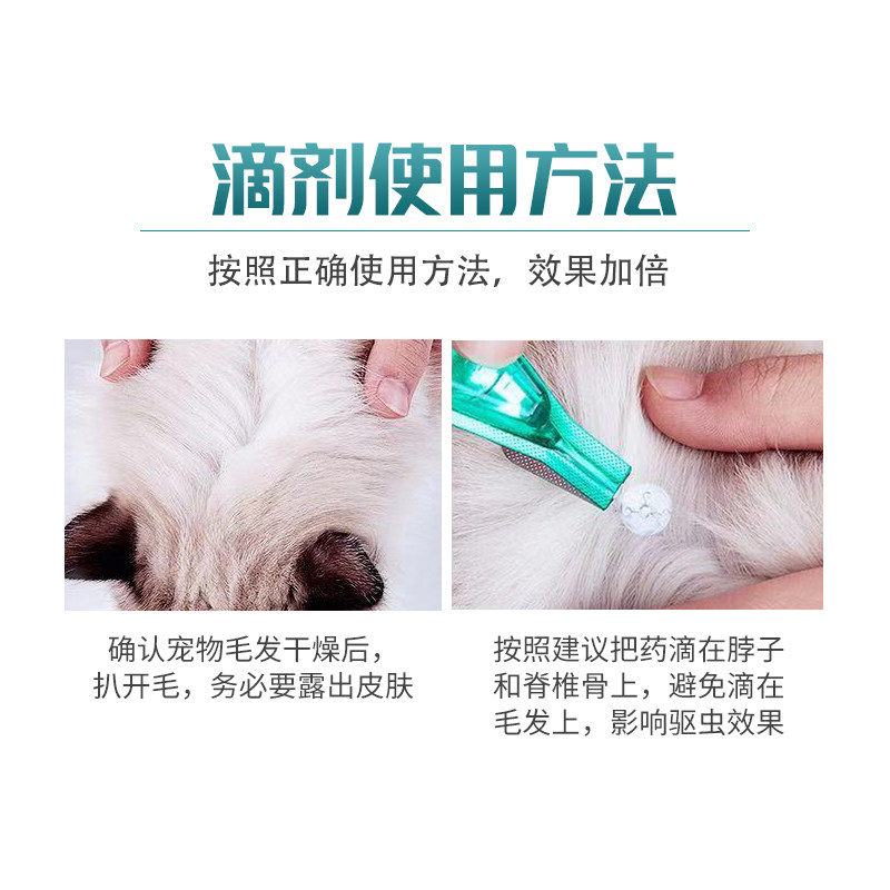宠物体内外一体驱虫滴剂3支/盒杰维士驱虫药猫咪狗狗犬通用旗舰店,淘宝优惠券,粉丝福利购,淘宝优惠卷