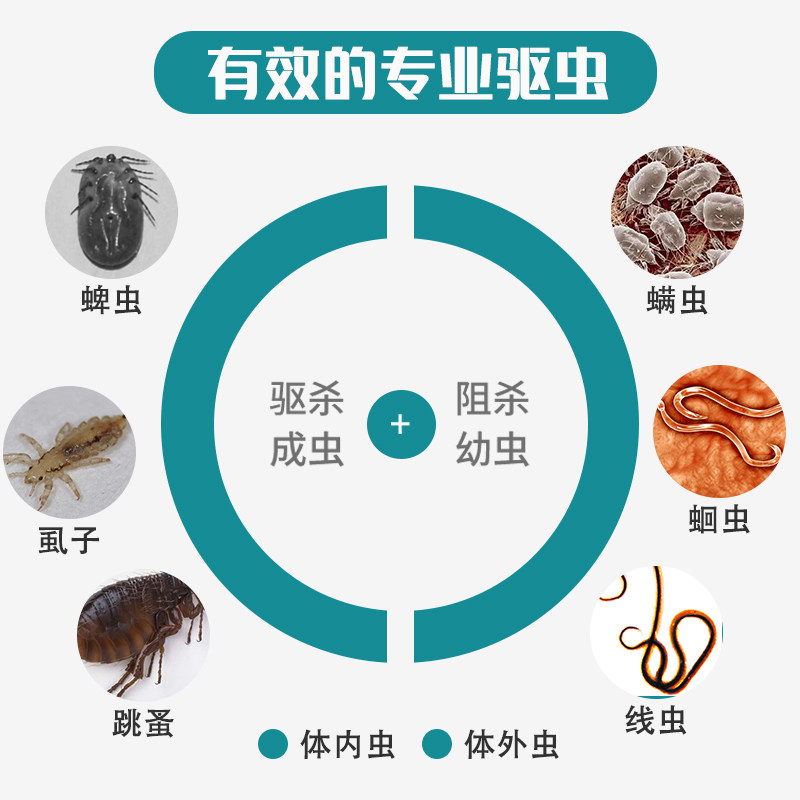 宠物体内外一体驱虫滴剂3支/盒杰维士驱虫药猫咪狗狗犬通用旗舰店,淘宝优惠券,粉丝福利购,淘宝优惠卷
