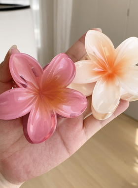 雅如初欧美彩色花朵鸡蛋花抓