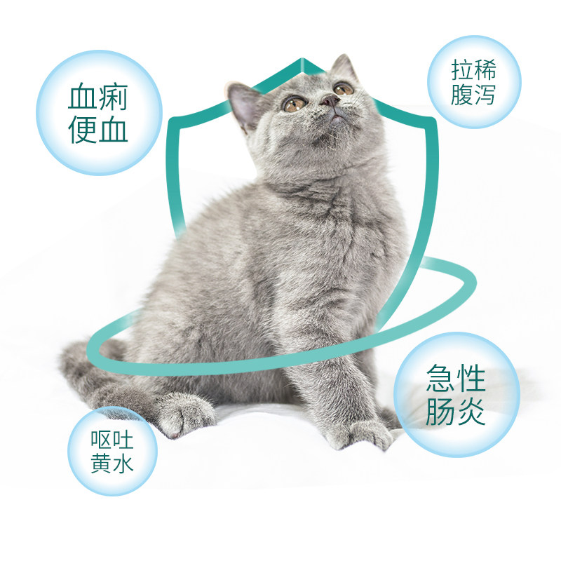 安痢肽宠物猫咪呕吐腹止泻宠物狗猫_狗狗拉稀呕吐猫咪拉稀呕吐便血肠胃 