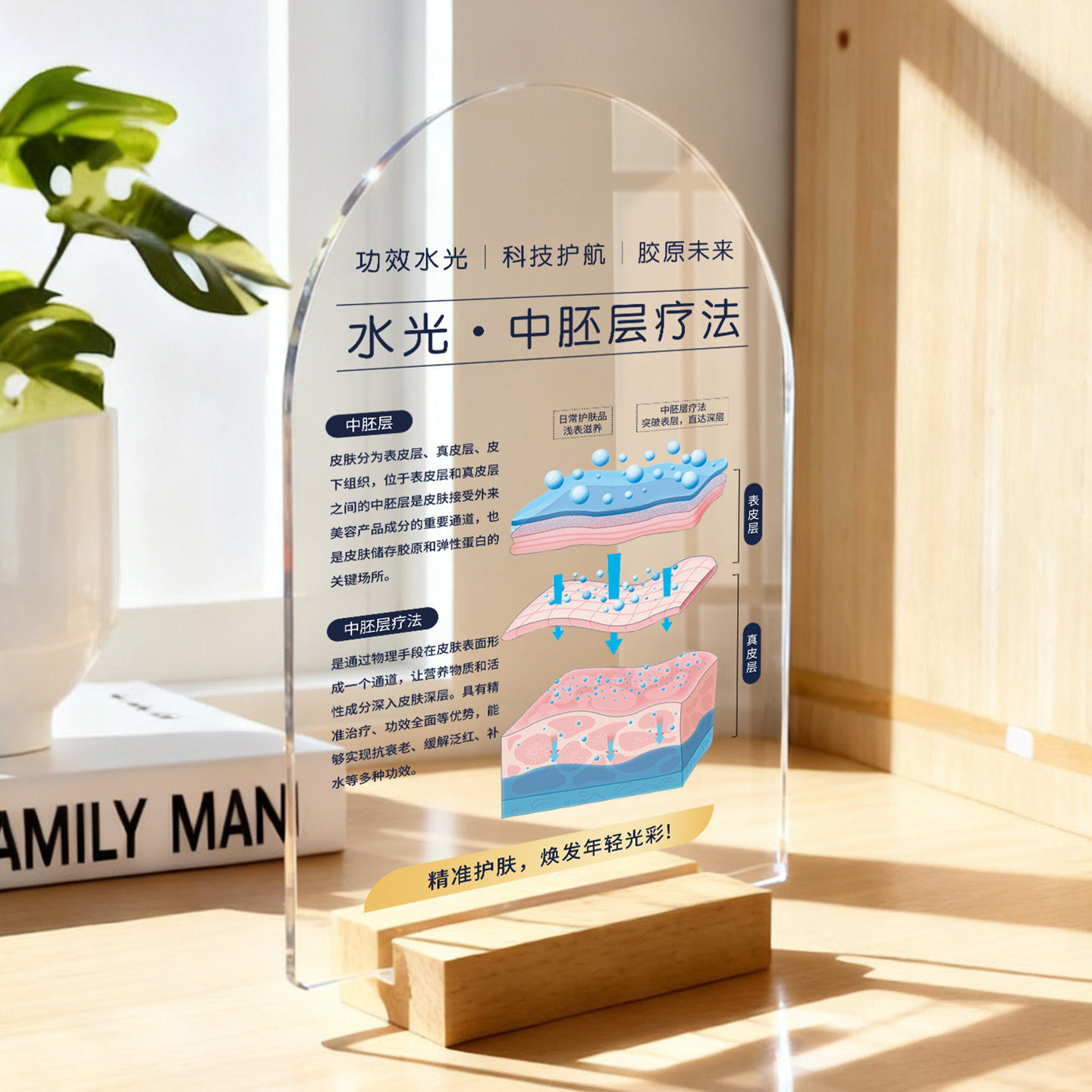 美容院台卡摆台定制透明水光针面部诊皮肤结构分层抗衰代谢定做医美肌肤中胚层解剖图立牌桌牌模型设计展示牌,淘宝优惠券,粉丝福利购,淘宝优惠卷