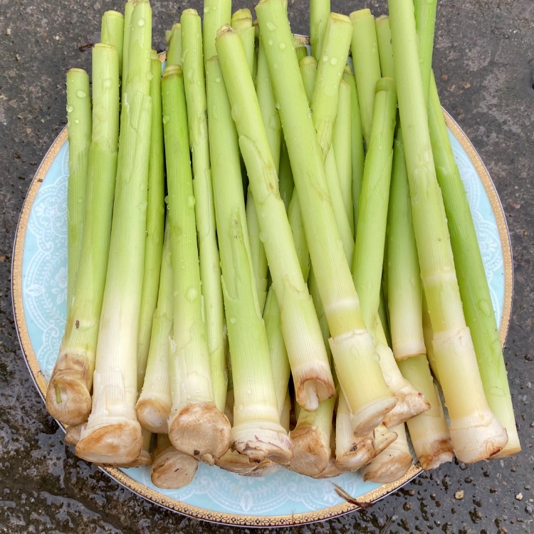 湖北特产石首华容监利新鲜蔬菜柴笋子芦苇笋野菜财笋荻笋火锅食材 - 图2