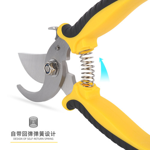 花剪枝园艺剪刀修枝剪省力修剪树枝果树竹签园林花卉专用花艺剪子 - 图2