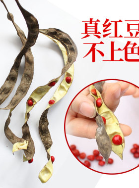 极速天然相思豆红豆手链佛珠108颗菩提子L手串男女情侣饰品圣诞节