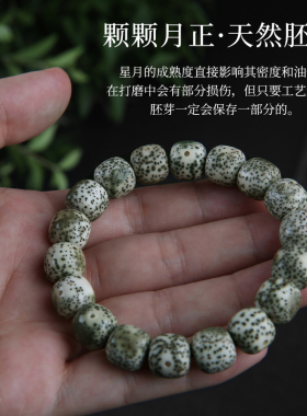 极速原生a态石玉料星月菩提子手串海南绿阴皮正月男女单圈佛珠手