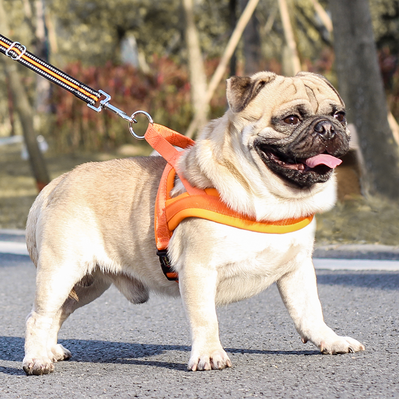 狗狗牵引绳狗绳子宠物胸背小型犬泰迪法斗狗背心式项圈胸背带狗绳