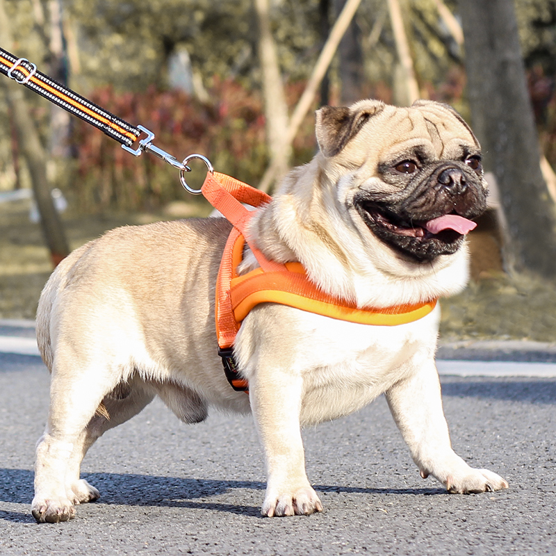 狗狗牵引绳狗绳子宠物胸背小型犬泰迪法斗狗背心式项圈胸背带狗绳-图0