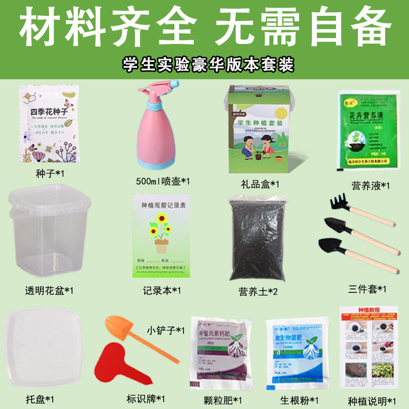 儿童种植小盆栽向日葵种籽四季凤仙花种孑小学生观察植物开花种子,淘宝优惠券,粉丝福利购,淘宝优惠卷