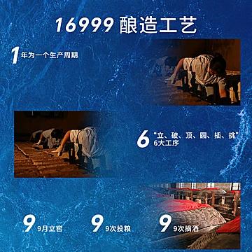 西凤白酒20年礼盒品鉴装官方旗舰店500ml*2[23元优惠券]-寻折猪