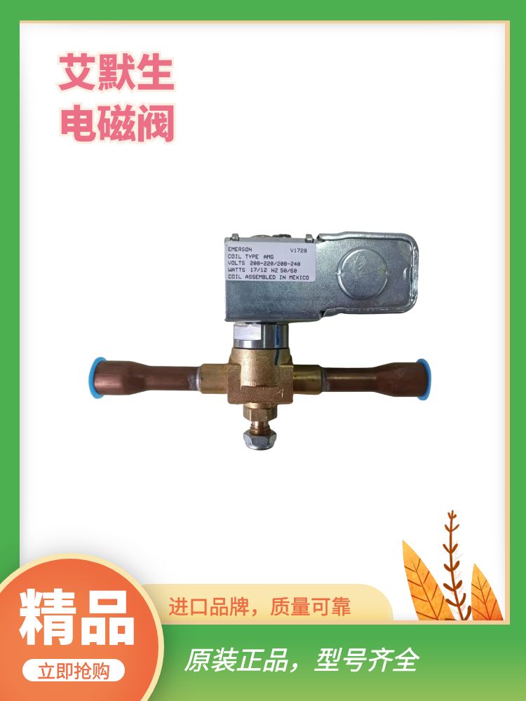 EMERSON艾默生电磁阀200RB3T3T/4T4T/5T5T/6T4T5T 7T7T/9T5T/12T - 图1