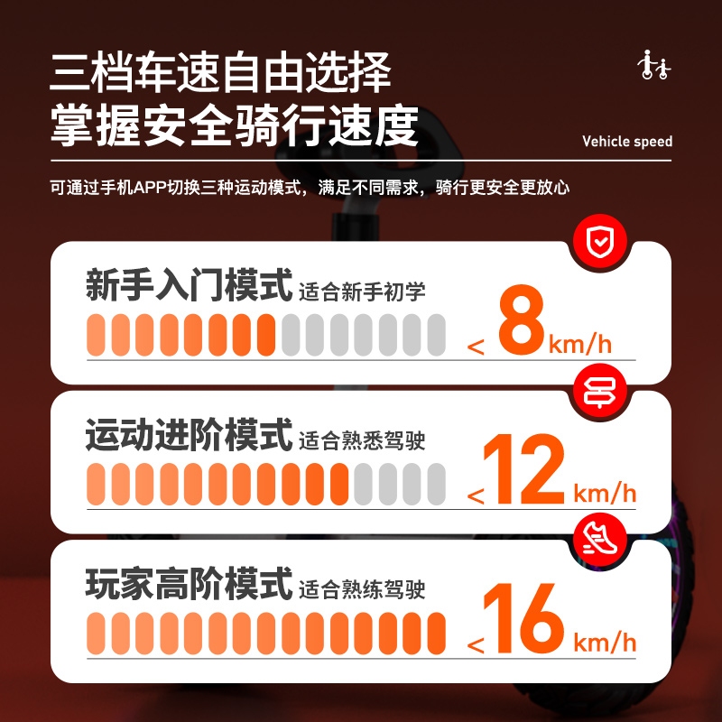 领奥电动智能儿童自平衡车6一8一12腿控2024新款成人10一15平行车