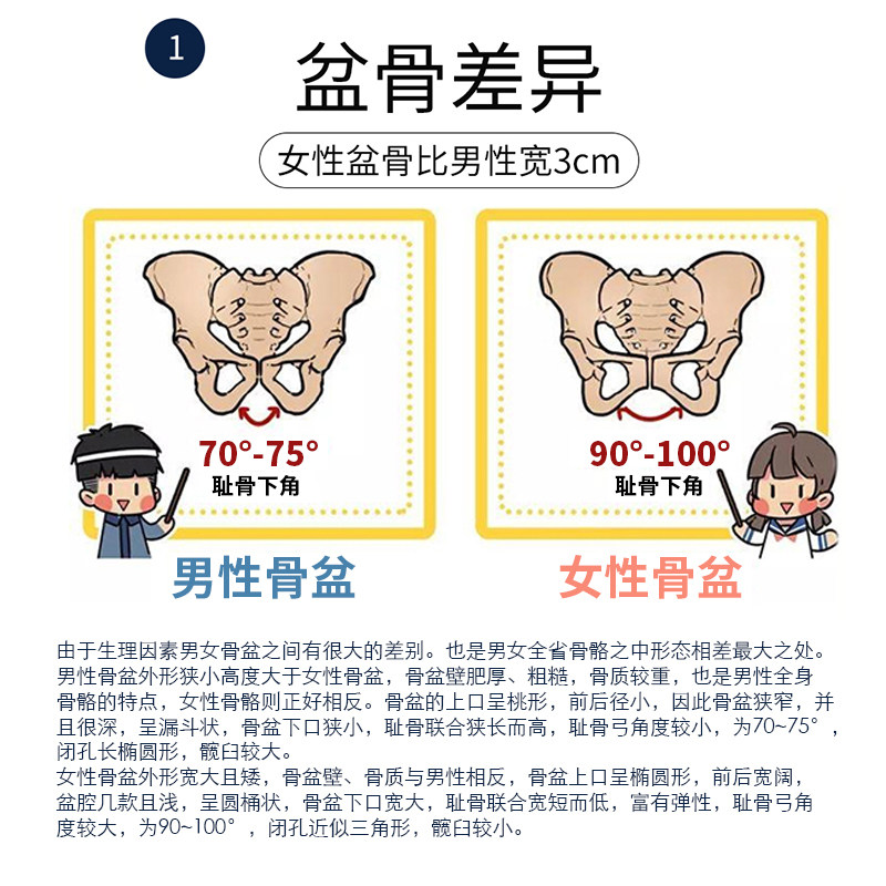 仁和女士腰部医用腰间盘突出护腰带 邦雅医疗器械护具（器械）