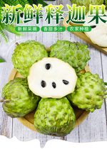 Fresh Yunnan Milk Pineapple Pineapples Fruits Secondary Flowers Peel Fruit Soft Glutinous Sweet Meat Thick Seeds Less Affordable